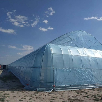 Double Layer Plastic Film Greenhouse With Cooling System Heating System Shading System Grow Tomatoes