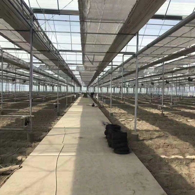 6m 7m 8m 9m Span Clear Plastic Film Greenhouse Vegetable Farming Tomatoes Pepper Lettuce