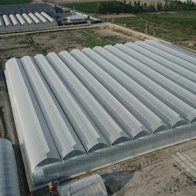 Double Layer Plastic Film Greenhouse With Cooling System Heating System Shading System Grow Tomatoes