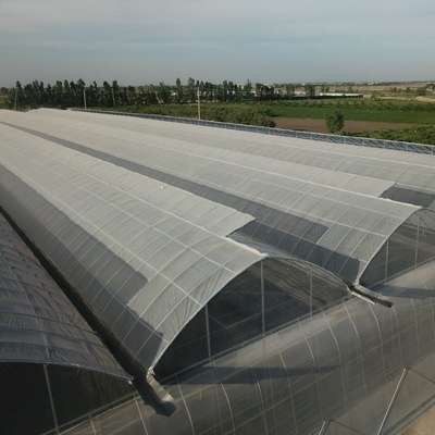 Double Layer Plastic Film Greenhouse With Cooling System Heating System Shading System Grow Tomatoes