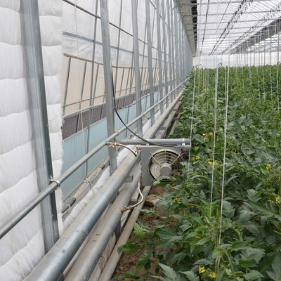 Double Layer Plastic Film Greenhouse With Cooling System Heating System Shading System Grow Tomatoes