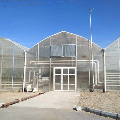 12x20 12 X 8 12 X 6  Polycarbonate Greenhouse With Cooling System And Heating System Roof Film Side