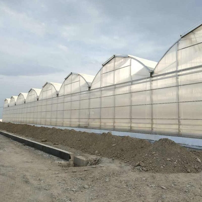 12x20 12 X 8 12 X 6  Polycarbonate Greenhouse With Cooling System And Heating System Roof Film Side