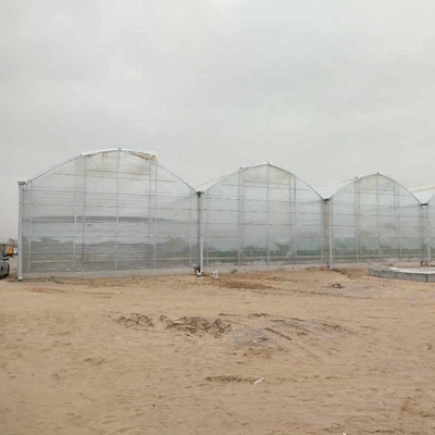 Large Scale Multi Span PC Sheet / Board Venlo Polycarbonate Greenhouse For Flower Vegetable Plant