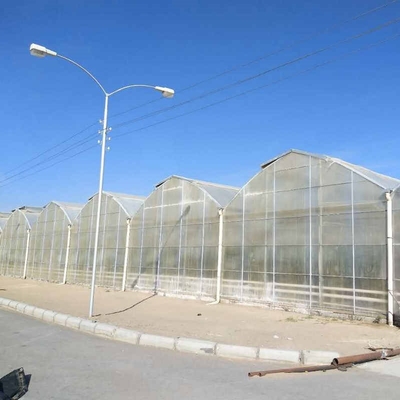 Large Scale Multi Span PC Sheet / Board Venlo Polycarbonate Greenhouse For Flower Vegetable Plant