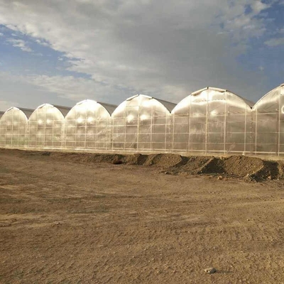 Large Scale Multi Span PC Sheet / Board Venlo Polycarbonate Greenhouse For Flower Vegetable Plant