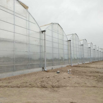 Agriculture Polycarbonate Sheet Greenhouse For Tomato Farming