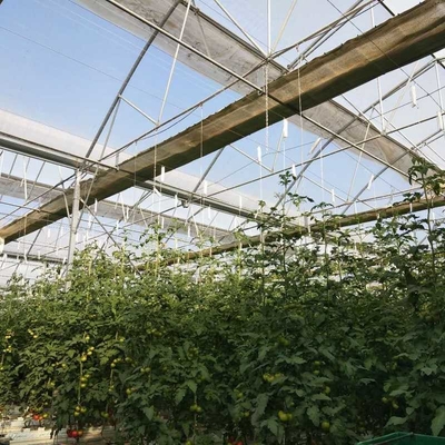 12x20 12 X 8 12 X 6  Polycarbonate Greenhouse With Cooling System And Heating System Roof Film Side