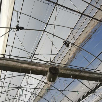 Large Scale Multi Span PC Sheet / Board Venlo Polycarbonate Greenhouse For Flower Vegetable Plant