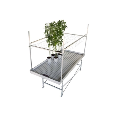 5x13 Feet Ebb Seedbed With Trellis Hanging Net Light For Medical Plants Rolling Greenhouse Benches