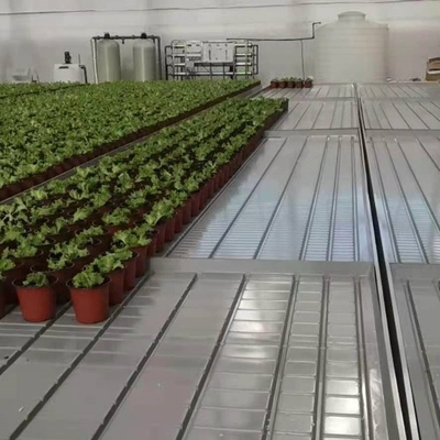 4ft 5ft customized width Movable seedbed growing bench rolling table with aluminum alloy frames