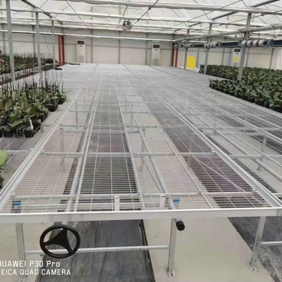 1.7m 1.8m Welded Wire Mesh Steel Rolling Benches Table Seedbed For Vegetable Nursery Seedling In Greenhouse