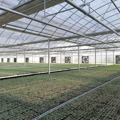 1.7m 1.8m Welded Wire Mesh Steel Rolling Benches Table Seedbed For Vegetable Nursery Seedling In Greenhouse