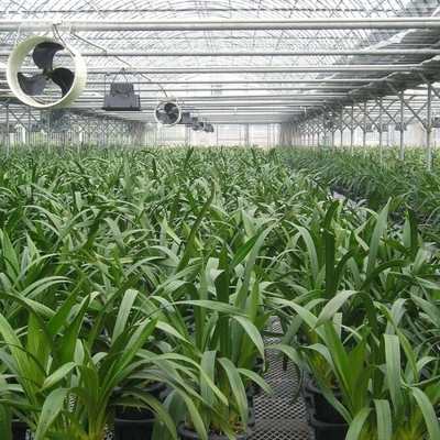 Galvanized Expanded Metal Plant Bench Table Greenhouse For Flower Vegetable Stand