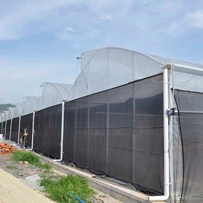40 Mesh Insect Net Covered Multi Span Sawtooth Type Greenhouse  For Rose In Tropical Area