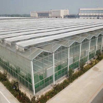 Tomato Cucumber Lettuce Greenhouse System Venlo Agriculture With Cooling Fan Pad