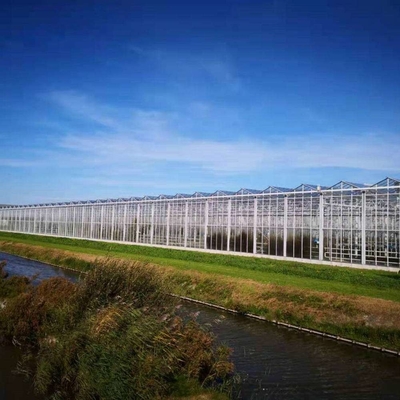 10x10 10x12 10x6 Aluminum Venlo Glass Greenhouse Grow Rose With Cooling System Ventilation System