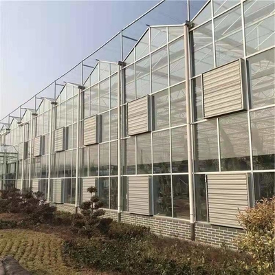 Tomato Cucumber Lettuce Greenhouse System Venlo Agriculture With Cooling Fan Pad