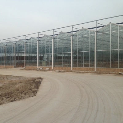 Farming Venlo Aluminum Frame Glass Greenhouse For Agriculture Growing