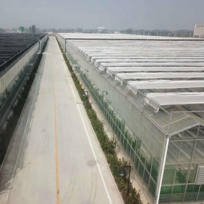 Farm Agriculture Greenhouse Equipments Multi Span Glass Inner Outer Shading System