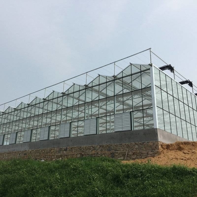 Tomato Cucumber Lettuce Greenhouse System Venlo Agriculture With Cooling Fan Pad