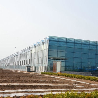 6x10 6ft X 4ft Intelligent Commercial Agricultural Glass Greenhouse For Flowers Potatoes Peppers