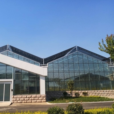 10x8 20 X 40 Big Span Venlo Multi Span Glass Greenhouse Growing Vegetable Show For Exhibition Hall