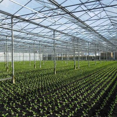 Modular Agricultural Greenhouse For Sale Dome Roof Cover Film Side Cover Multi Span Cucumber Lettuce Growing