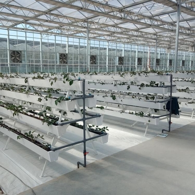 6x10 6ft X 4ft Intelligent Commercial Agricultural Glass Greenhouse For Flowers Potatoes Peppers