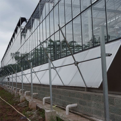 3mm 4mm Tomato Venlo Portable Glass Greenhouse Roof And Side Ventilation Control By Motor