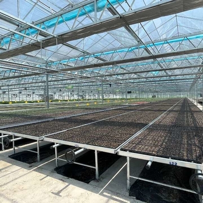 Farming Venlo Aluminum Frame Glass Greenhouse For Agriculture Growing