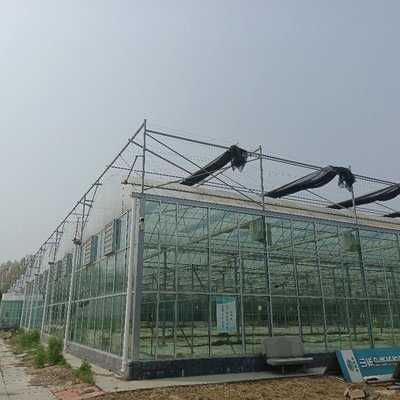 Modular Agricultural Greenhouse For Sale Dome Roof Cover Film Side Cover Multi Span Cucumber Lettuce Growing
