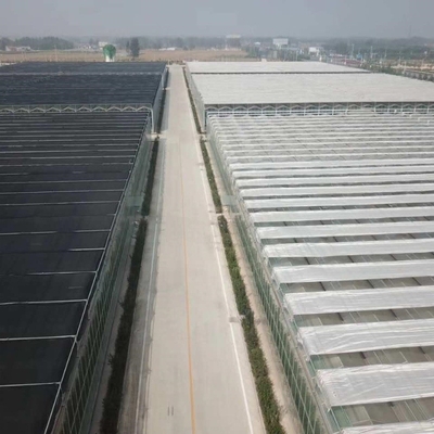 Farm Agriculture Greenhouse Equipments Multi Span Glass Inner Outer Shading System