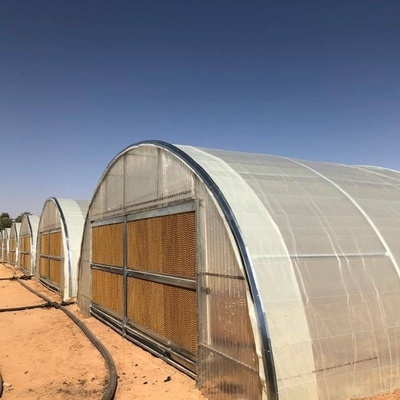 Industrial Poly Tunnels For Gardens Head Roof Yellow Film Tunnel Greenhouse Plastic