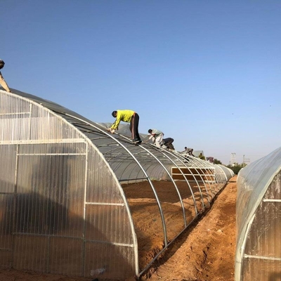 Industrial Poly Tunnels For Gardens Head Roof Yellow Film Tunnel Greenhouse Plastic