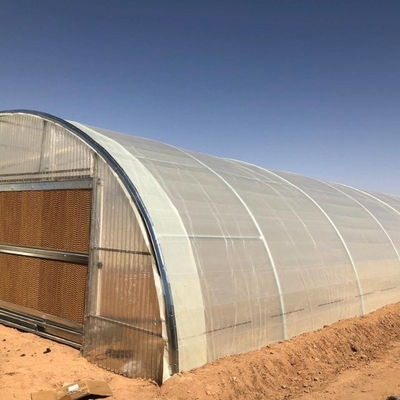 Industrial Poly Tunnels For Gardens Head Roof Yellow Film Tunnel Greenhouse Plastic
