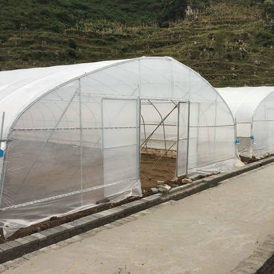 Polycarbonate Greenhouse For Sale Single Span Greenhouse Gothic