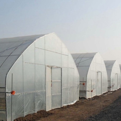 500m2 Garden Gothic Greenhouse Poly Film Stong Wind Resistance For Tomatoes Cucumber Growing
