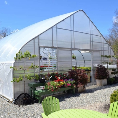 500m2 Garden Gothic Greenhouse Poly Film Stong Wind Resistance For Tomatoes Cucumber Growing
