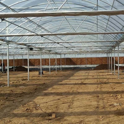 Large Size Clear Plastic Film Greenhouse Multi Span  3-6m Gutter Height Galvanized Steel Greenhouse