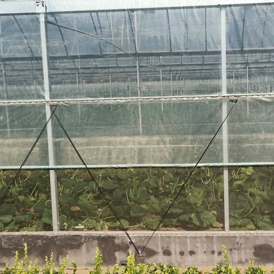 Large Size Clear Plastic Film Greenhouse Multi Span  3-6m Gutter Height Galvanized Steel Greenhouse