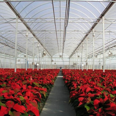 OEM PO PE Polyethylene Film Greenhouse Multi Span 4 Season Growing For Flower