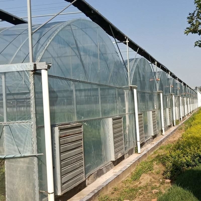 OEM PO PE Polyethylene Film Greenhouse Multi Span 4 Season Growing For Flower