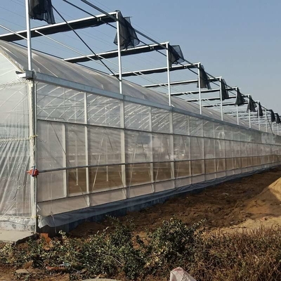 Vegetable Agricultural Tomatoes Dome Roof 7-10m Span Po Film Greenhouse