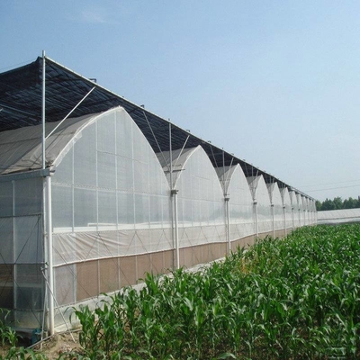 Vegetable Agricultural Tomatoes Dome Roof 7-10m Span Po Film Greenhouse