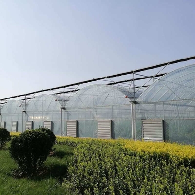 50meter Hot Galvanized Steel Pe Film Greenhouse Tomato Nuersery Seedling With Rolling Bench