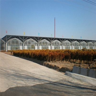 6 Foot 8 Foot Double Roof Arch Muliti Span Film Greenhouse Keep Warm For Tomatoes