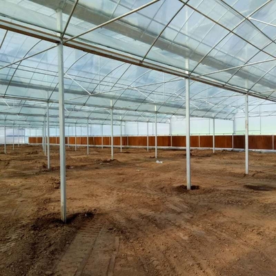 6 Foot 8 Foot Double Roof Arch Muliti Span Film Greenhouse Keep Warm For Tomatoes