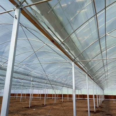 6 Foot 8 Foot Double Roof Arch Muliti Span Film Greenhouse Keep Warm For Tomatoes