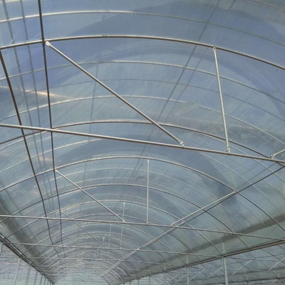6 Foot 8 Foot Double Roof Arch Muliti Span Film Greenhouse Keep Warm For Tomatoes